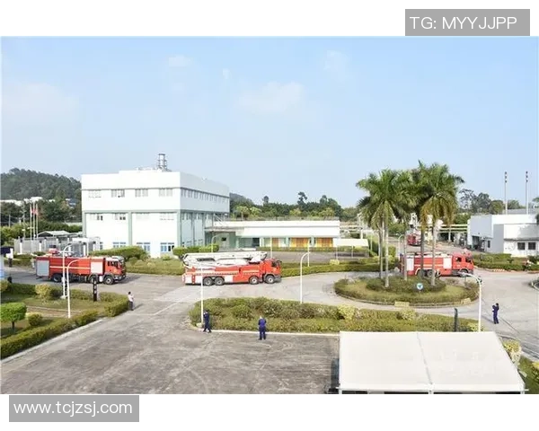 广州飞盘队防反战术解析与实战应用探讨