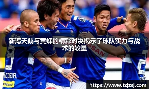 新泻天鹅与黄蜂的精彩对决揭示了球队实力与战术的较量